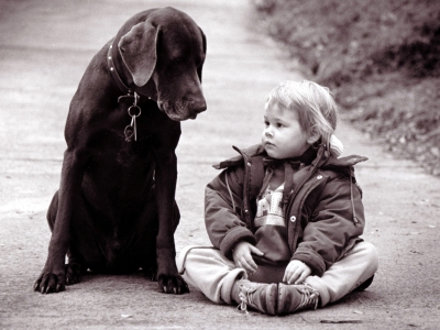 A dog and his best friend